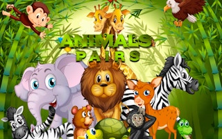 Image Animals Pairs Match 3